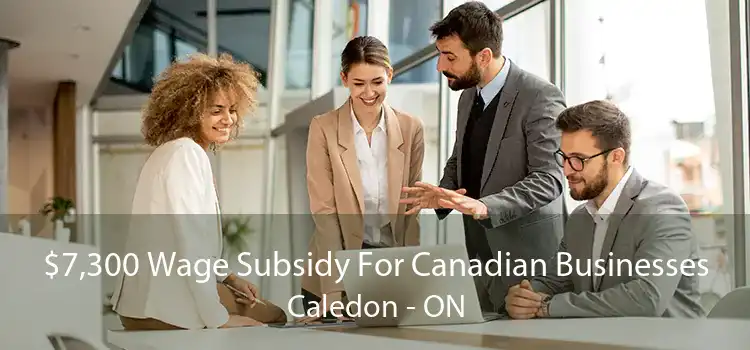 $7,300 Wage Subsidy For Canadian Businesses Caledon - ON