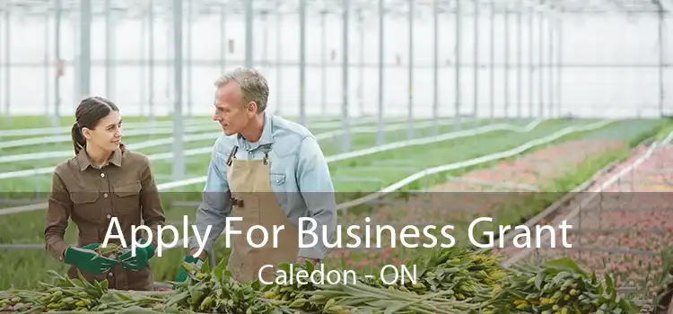 Apply For Business Grant Caledon - ON